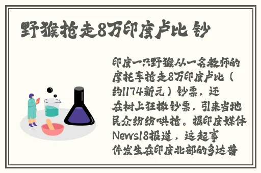 水蜜桃一三四专区